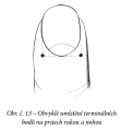 Meridinov mas