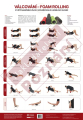 Plagt Valcovanie - foam rolling 70 x 48cm