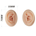 Sada modelov uší